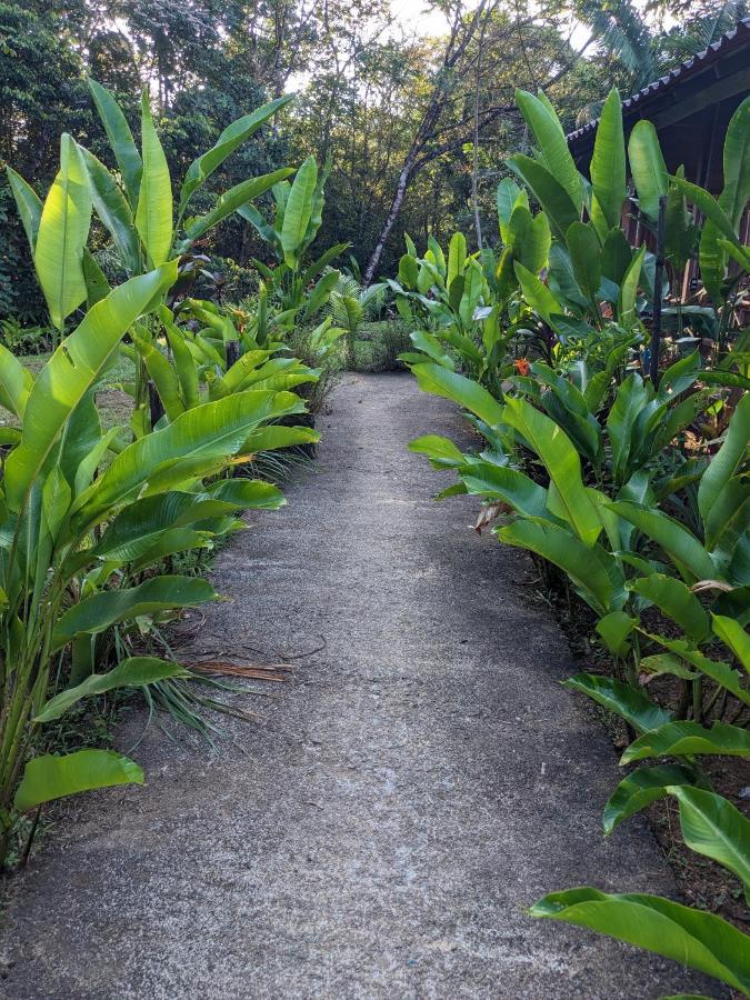 La Katalinda Hotel Drake Bay Bagian luar foto
